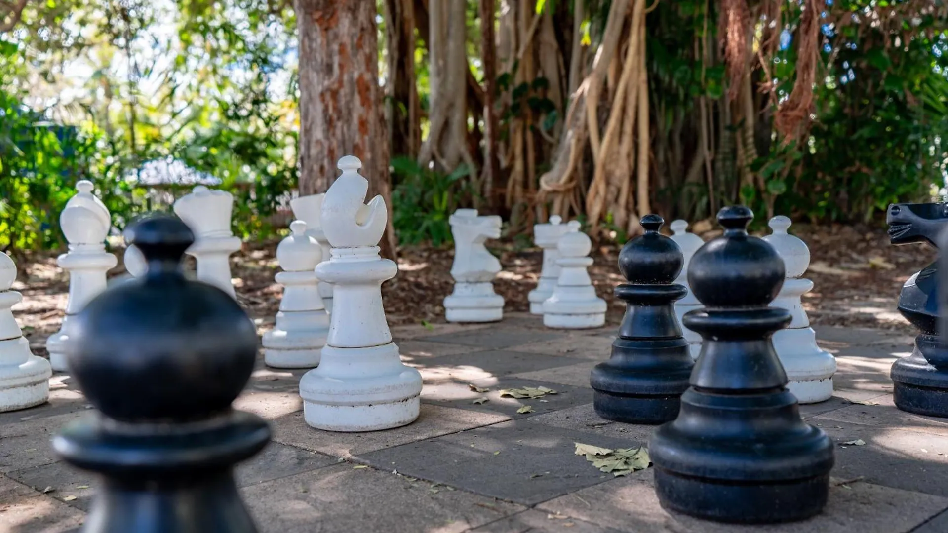 Big4 Tasman Holiday Parks - Rowes Bay  Townsville